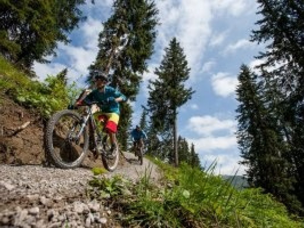 Burgwald Trail - Bikestrecke