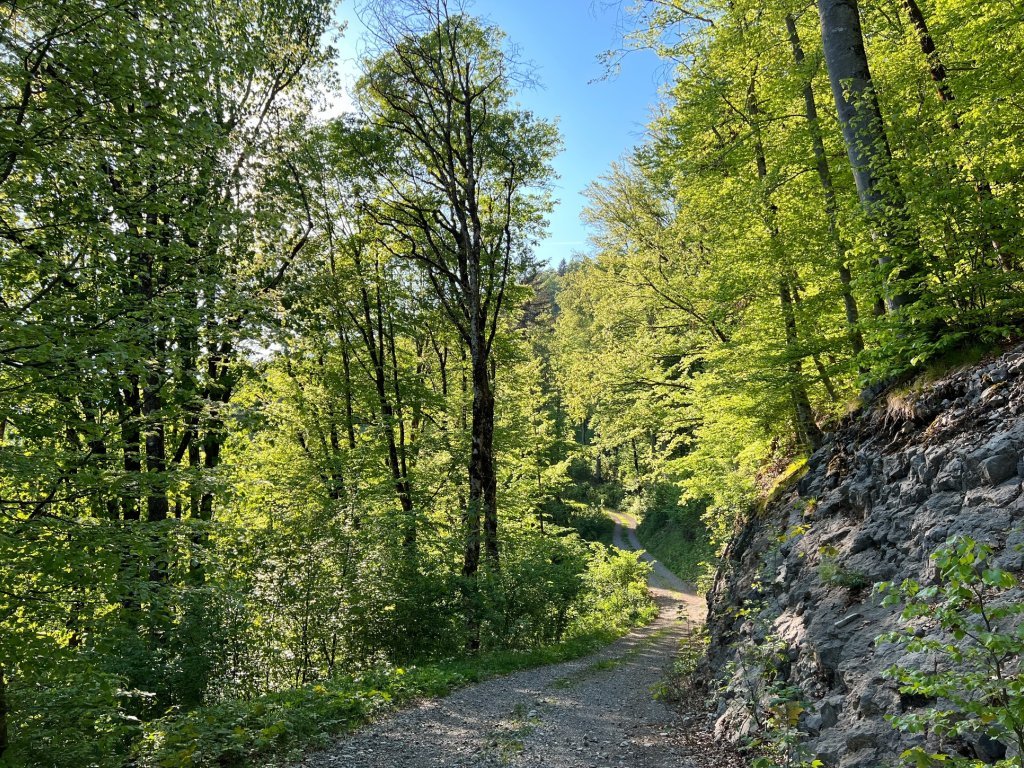 Waldweg, Goßarweag