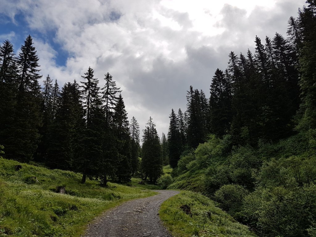 Weg zur Alpe Kanis