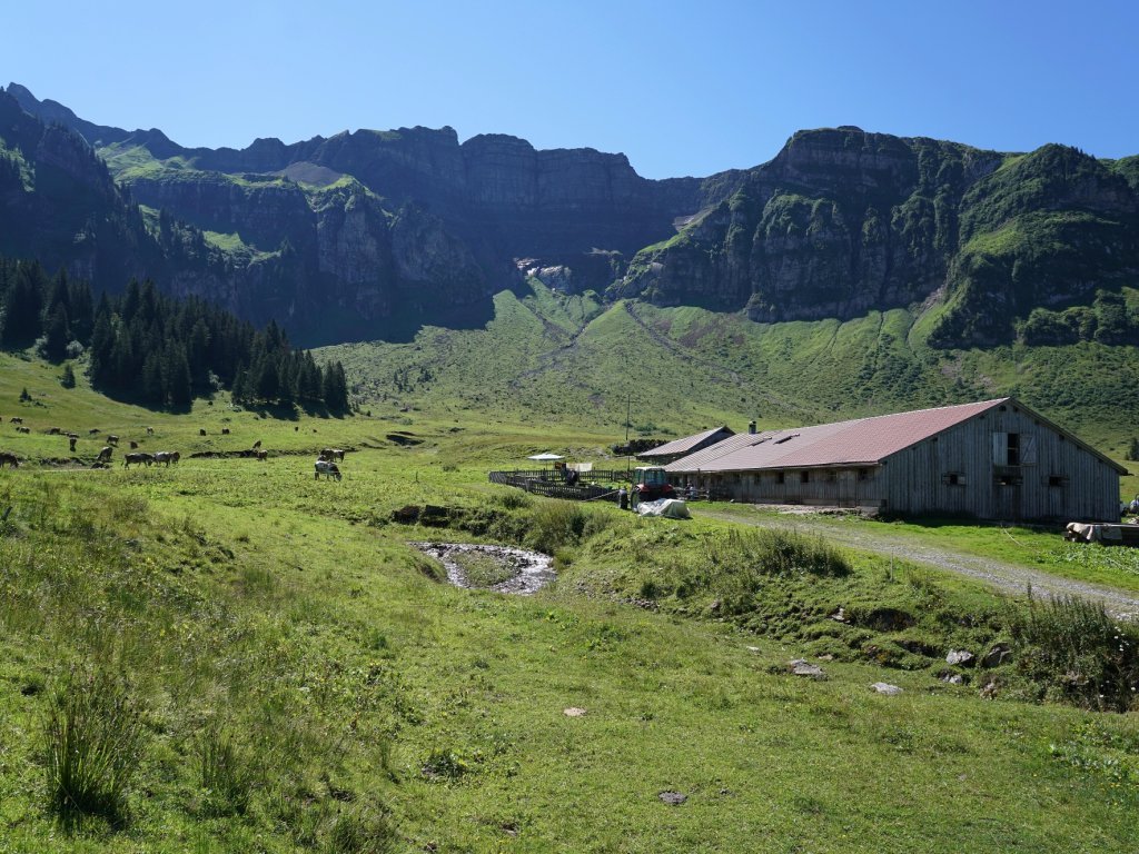Alpe Kanis