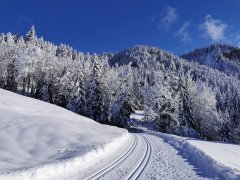 Tief verschneite Landschaft in Sibratsgfäll