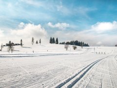 Loipe und Winterwanderweg Sulzberg