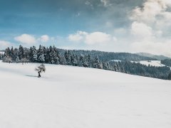 Winterlandschaft Sulzberg